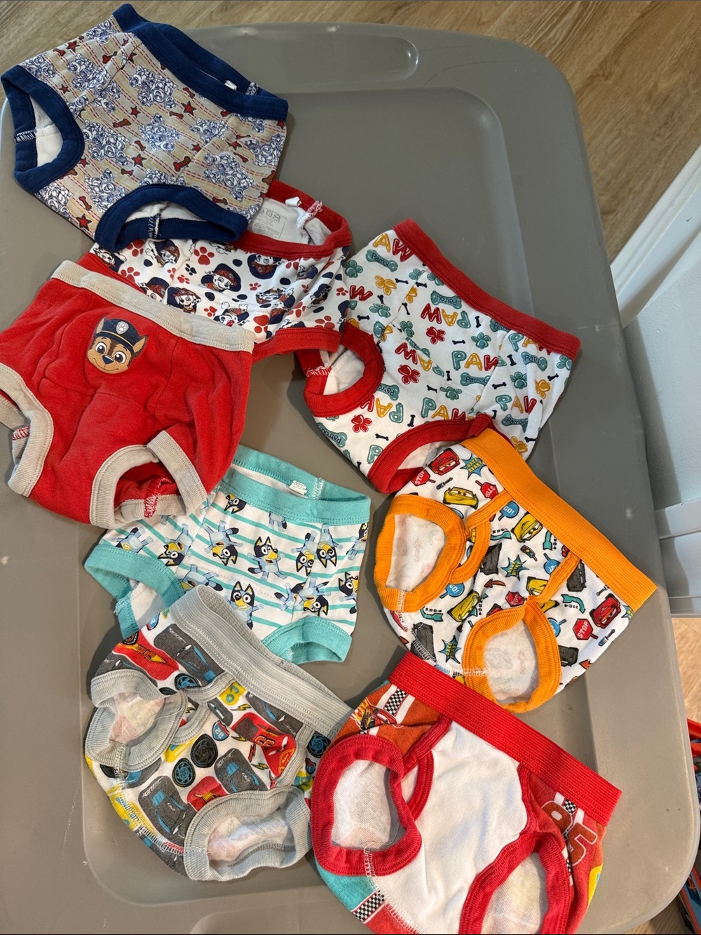 Kids Multicolor Cartoon Print Training Underwear - Pack of Assorted Styles